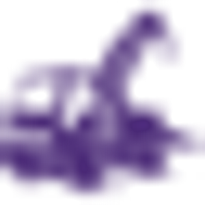 Cascade Towing & Auto Repair - Logo