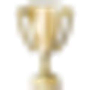Rudig Trophies - Logo