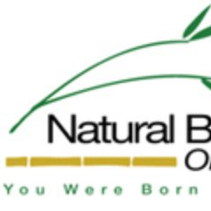 Natural Beauty Organics Natural Hair Salon - Logo