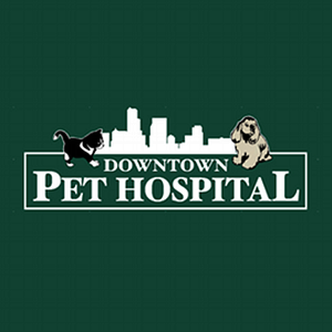 Downtown Pet Hospital