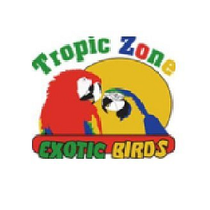Tropic Zone Exotic Birds