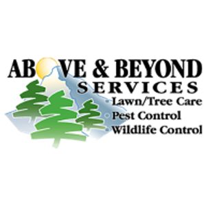 Above and Beyond Services LLC