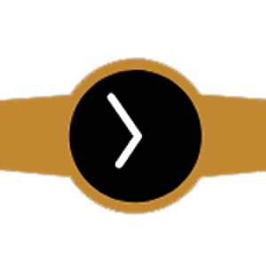 DT Rydez - Logo