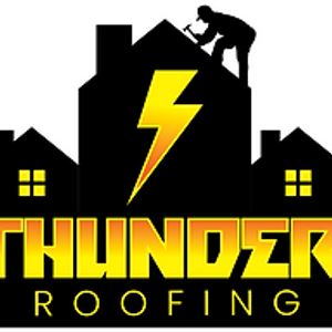 Thunder Roofing NM - Logo