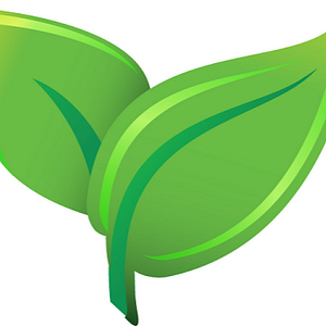 Greener Method Cleaning & Restoration Services - Logo