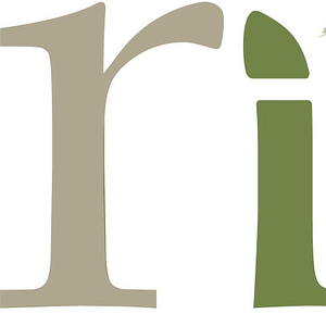 New Reality International - Logo