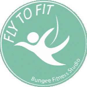 Fly to Fit Bungee Fitness Studio - Logo