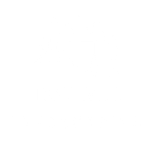 Iron Will Landscaping - Logo