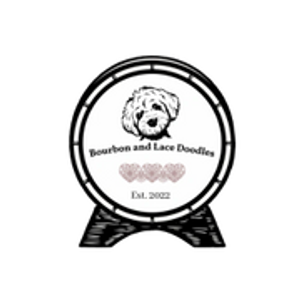 Bourbon and Lace Doodles - Logo