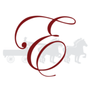 Elison Financial Group, LLC - Logo