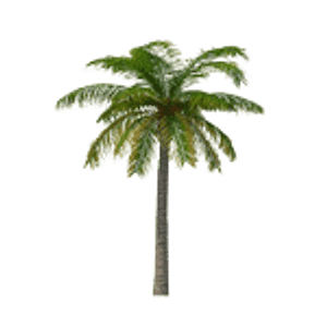Conch Cottages of Villas Key West - Logo