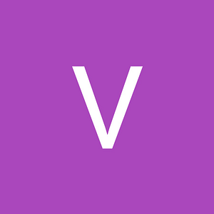 VeeZee Visuals - Logo