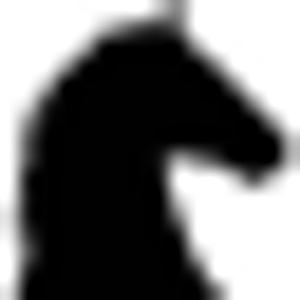 Stone Ridge Farm Equestrian - Logo