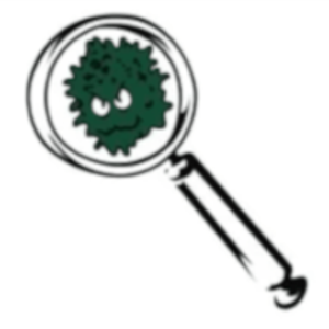 Mold & Mildew Solutions, LLC - Logo