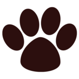 Le Marcel Bakery for Dogs