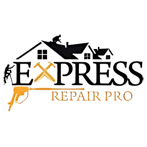 Express Repair Pro
