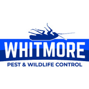 Whitmore Pest & Wildlife Control of Denver - Pest control service in Denver