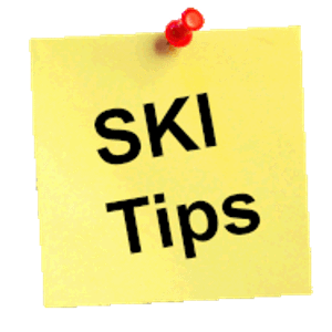 Ski Landscape Corporation - Logo