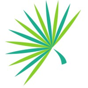 Palmetto Capital Group - Logo
