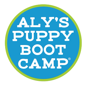 Aly's Puppy Boot Camp - Logo