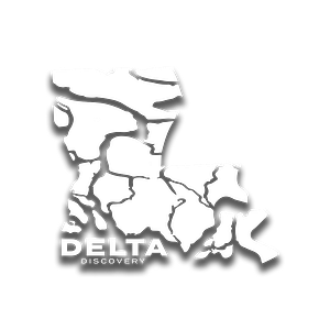 Delta Discovery Tours - Logo