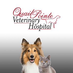 Quail Pointe Veterinary Hospital - Logo