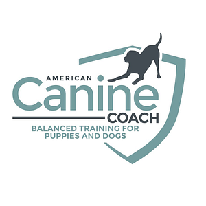 American Canine Coach