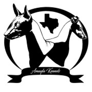 Amayla Kennels