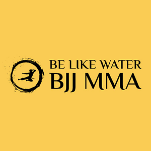 Be Like Water BJJ | MMA - Logo