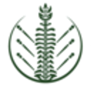 Point of Health Chiropractic & Acupuncture in Downers Grove