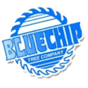 Bluechip Tree Company - Logo