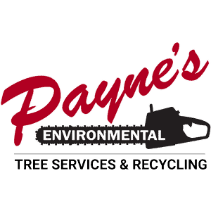Payne's Tree - Logo