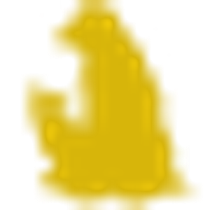 Suffolk Hills Pet Clinic