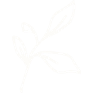 Candlelight Events - Logo