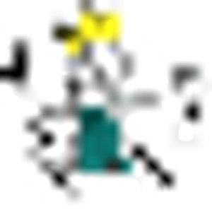 Drain Master - Logo