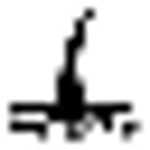 Hair Restoration Institute of the Hudson Valley - Logo