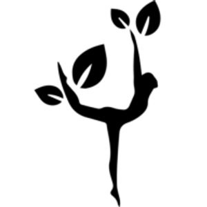 Nu Image Aesthetics & Wellness Institute - Logo