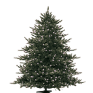 Bayview Tree Farm - Logo