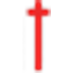 Risner Spinal Center - Logo