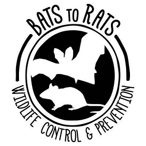Bats to Rats LLC - Wildlife Control and Prevention