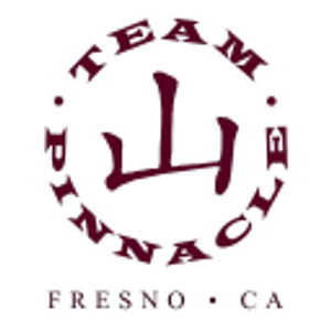 Pinnacle Martial Arts - Logo