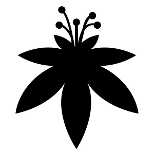 The Flowery Dispensary Queens