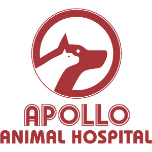 Apollo Animal Hospital - Logo