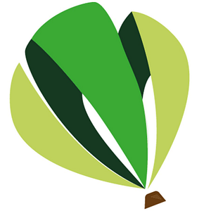 Willamette Valley Balloons - Logo