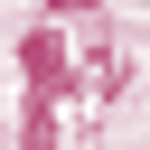 The Vintner Vault - Logo