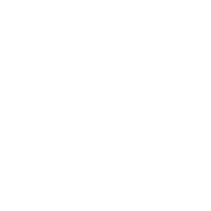 Alpine Demolition - Logo