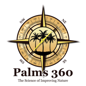 Palms 360