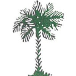 Carolina Appraisal Group - Logo
