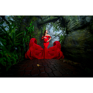 Ambreia Artistry Photography - Logo