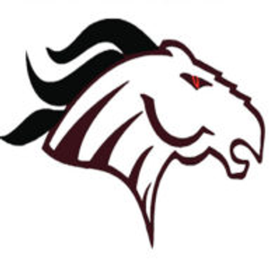 Cyberhorse Construction - Logo